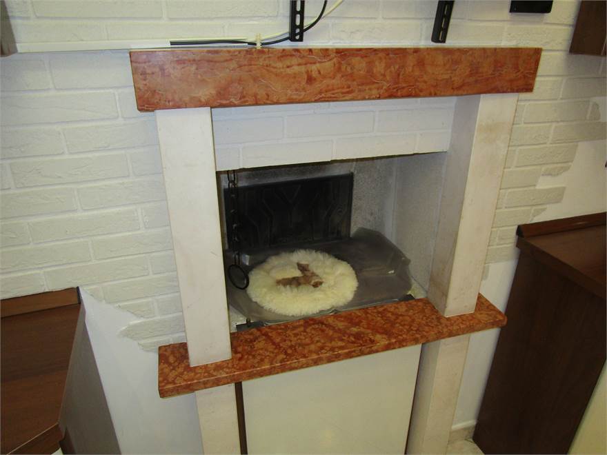 Photo 5
