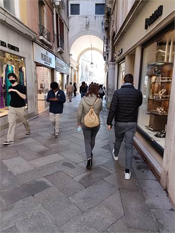 visita 