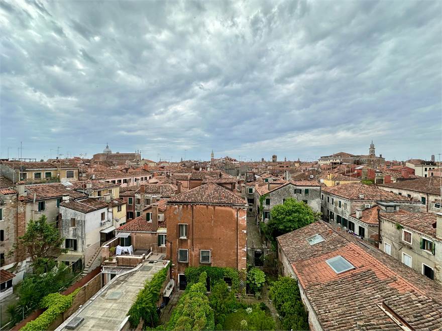 Vista 