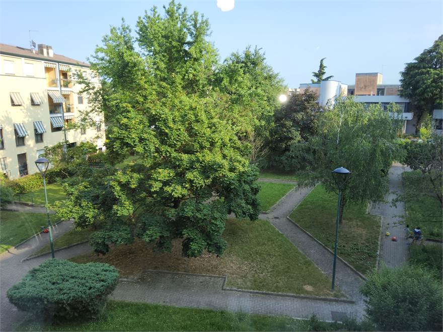 giardino del condominio